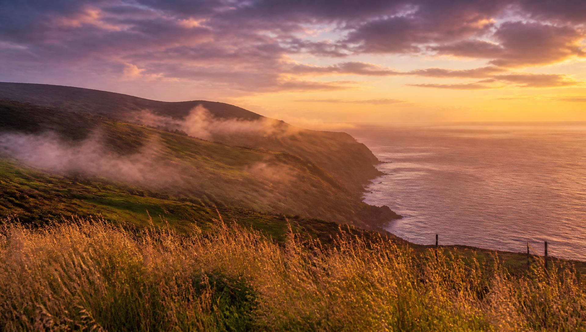 Peaceful Wexford landscape